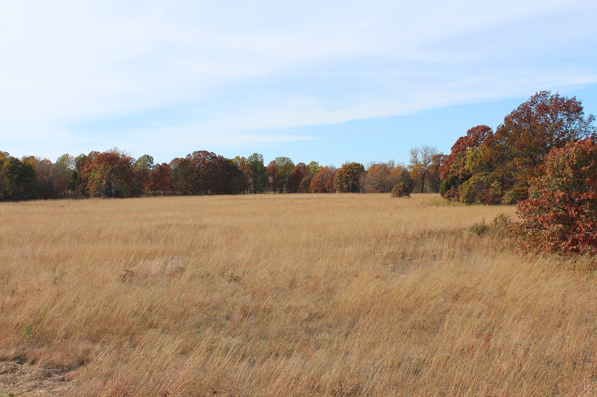 Tract 11 - OKLAHOMA LAND & REAL ESTATE AUCTION, 438 +/- Acres offered in 13 Tracts